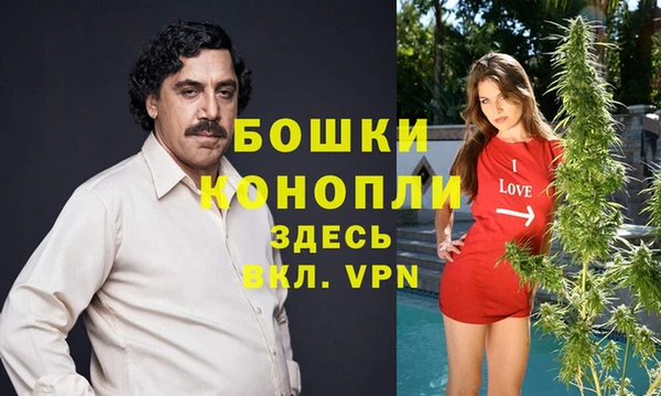 МДМА Снежногорск
