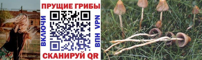 Галлюциногенные грибы Magic Shrooms  Кукмор 